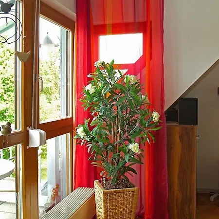 Апартаменты Granitzblick Nr. 6 - Haus Monchgut Seedorf (Rugen)